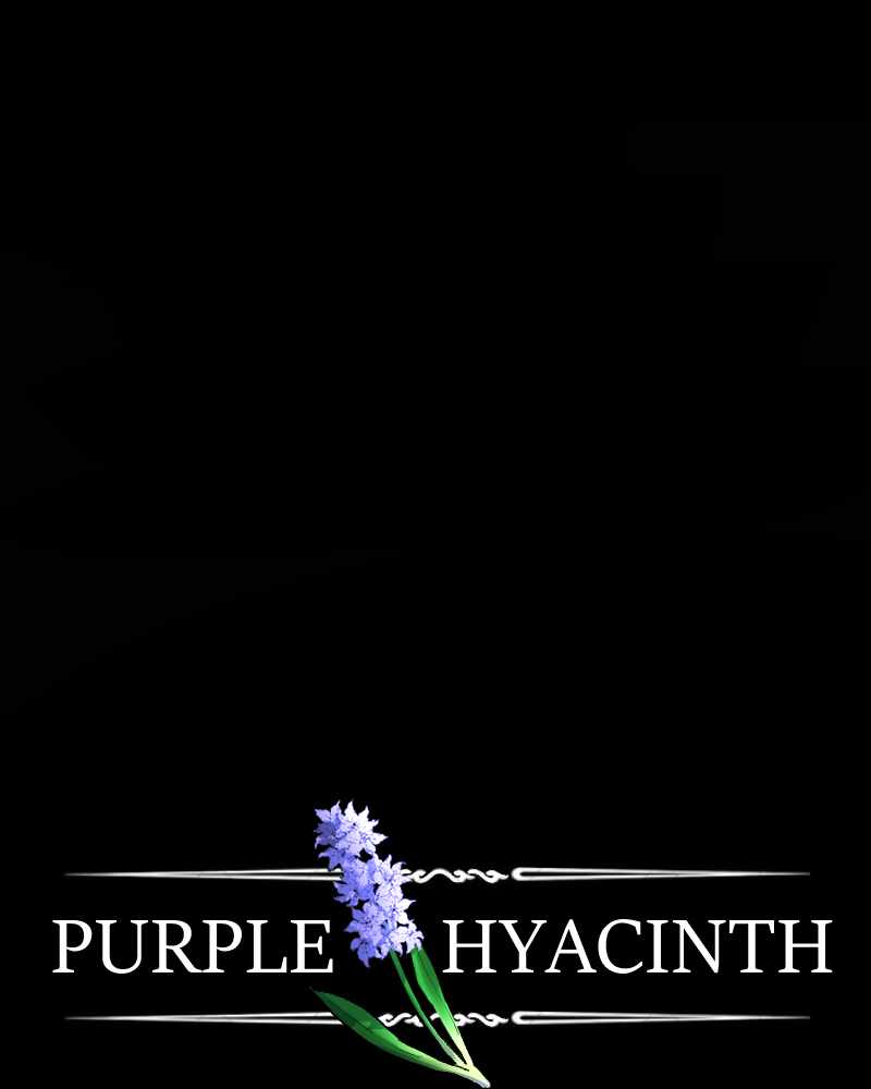 Purple Hyacinth Chapter 63 69